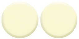 Pryzex ODT 15 mg Tablets