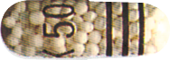 Kapanol 50 mg