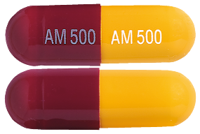 Amoxil 500 mg Capsules