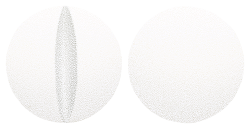 Amiodarone Sandoz Tablets 200 mg