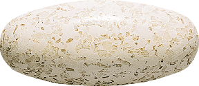 Pentasa Suppositories 1 g