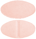 ARX-Glimepiride 2 mg Tablets