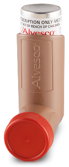 Alvesco 80 mcg/actuation Metered dose inhaler