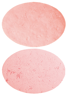 Wafesil 25 mg Wafers