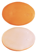 Rocaltrol 0.25 mcg Capsule