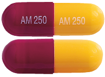 Amoxil 250 mg Capsules