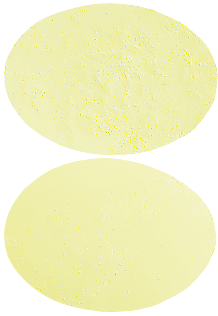 Wafesil 50 mg Wafers
