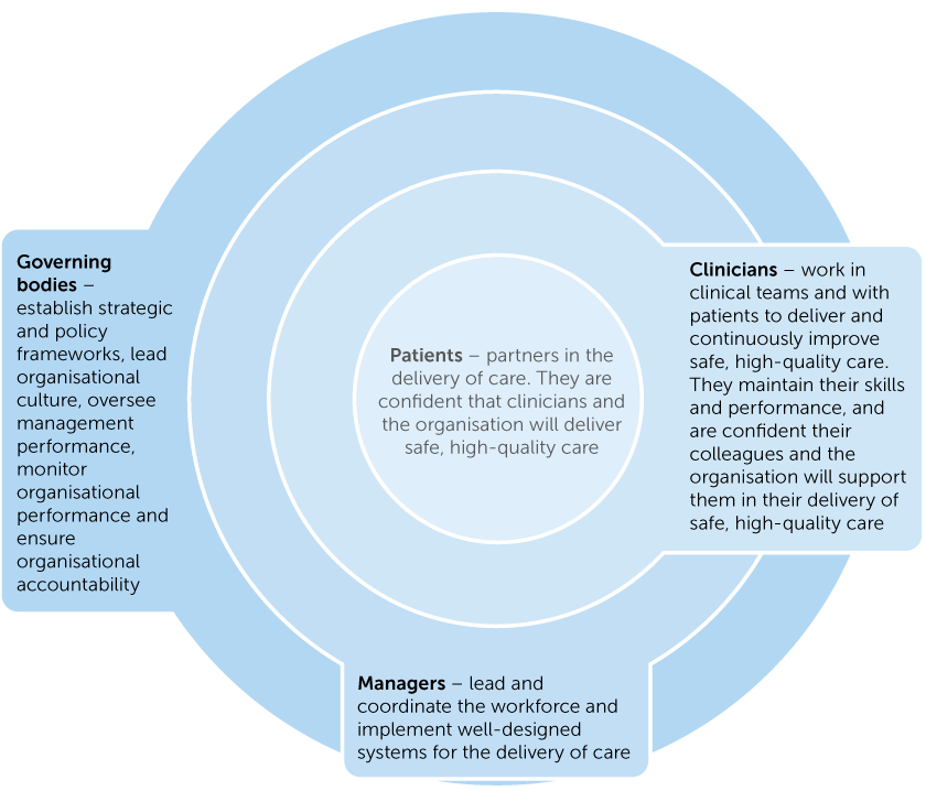 Figure 4: Clinical governance roles