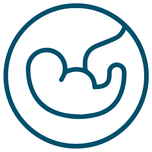 Icon showing a baby
