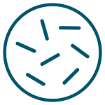 Antimicrobial icon_Helthcare Variation page
