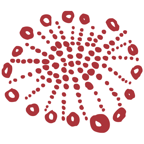 Aboriginal and Torres Strait Islander graphic