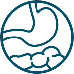 Atlas 4 - icon of bowel section
