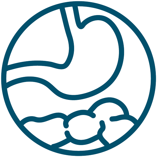 Fourth Atlas 2021 - Gastrointestinal icon