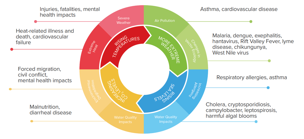 Image depicting health impacts with a circle of rising temperatures, leading to more extreme weather, leading to rising sea levels, leading to increasing carbon dioxide levels and then repeating. 