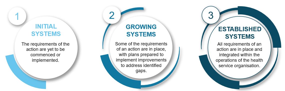 diagram outlining the maturity scale of the Governance framework
