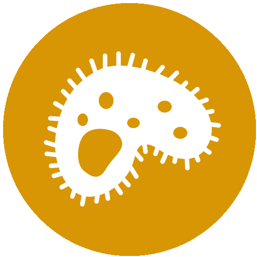 NSQHS Standards Icon 3 - Healthcare-Associated Infections