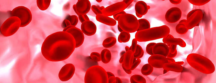 Requirements for Haemopoietic Cellular Therapy