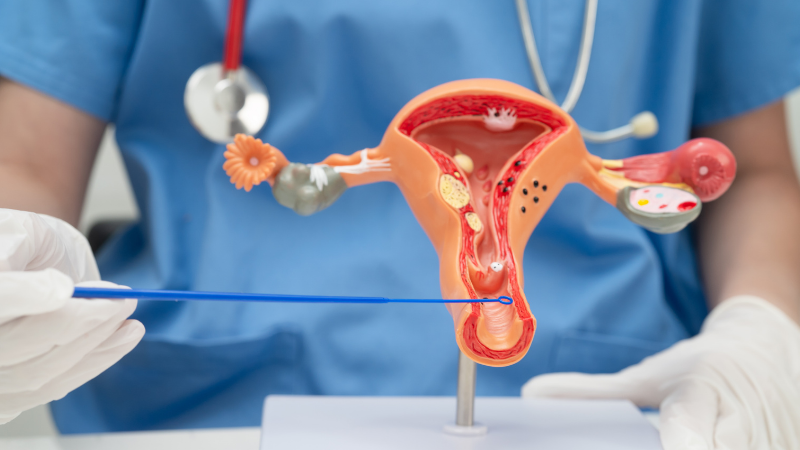 National Safety and Quality Assisted Reproductive Technology Service Standards