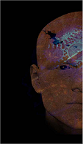 Australian Delirium Association Logo Australian Delirium Association Logo
