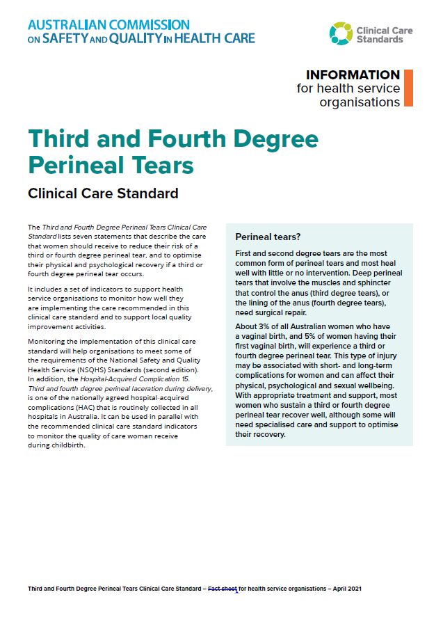 Thumbnail for Health Service Organisations - Third and Fourth Degree Perineal Tears