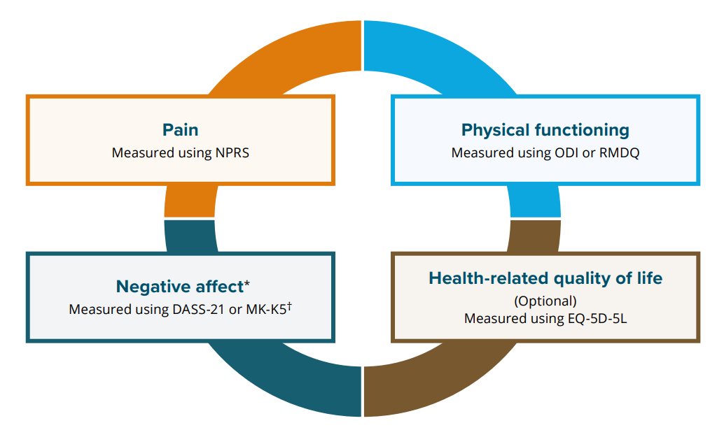 A circle divided into four sections, with representing a PROM for Low Back Pain. They are as follows in a clockwise direction; Physical functioning, health-related quality of life, negative affect and pain.