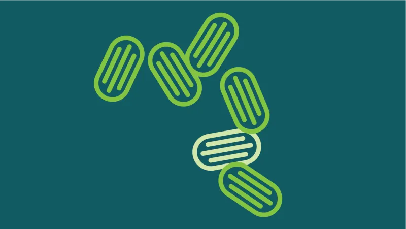 Antimicrobial Stewardship Clinical Care Standard