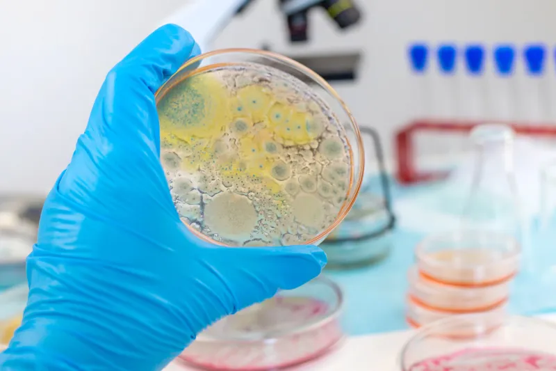 Antimicrobial prescribing