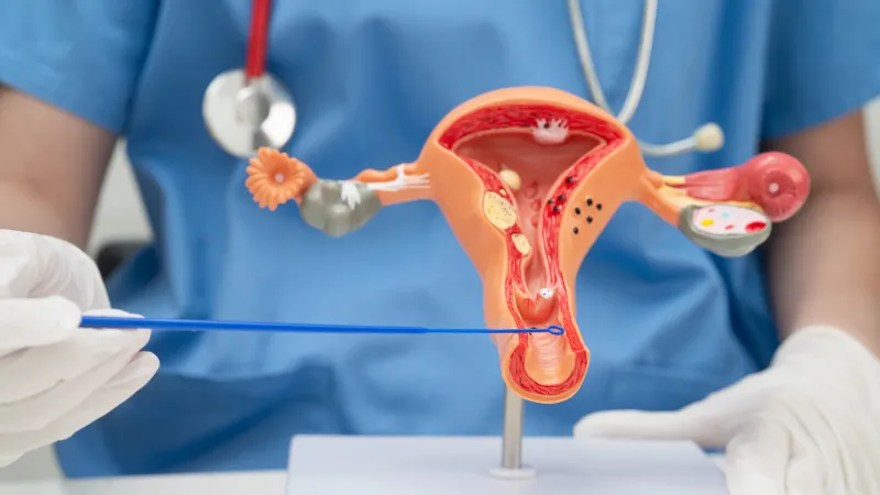 National Safety and Quality Assisted Reproductive Technology Service Standards