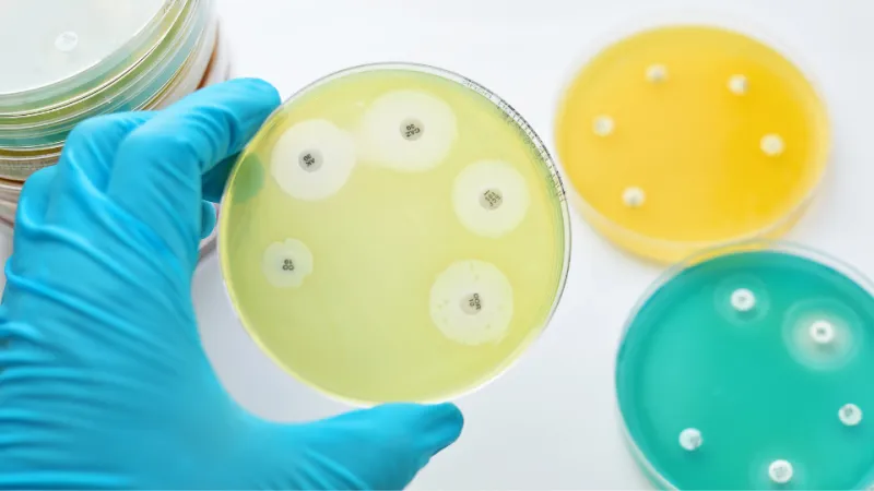 Review of the Antimicrobial Stewardship Clinical Care Standard