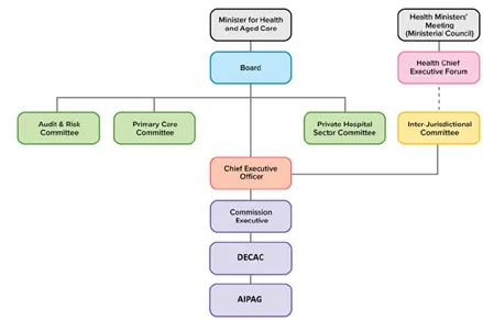 Figure table showing the reporting lines of the Digitally Enabled Care Advisory Committee