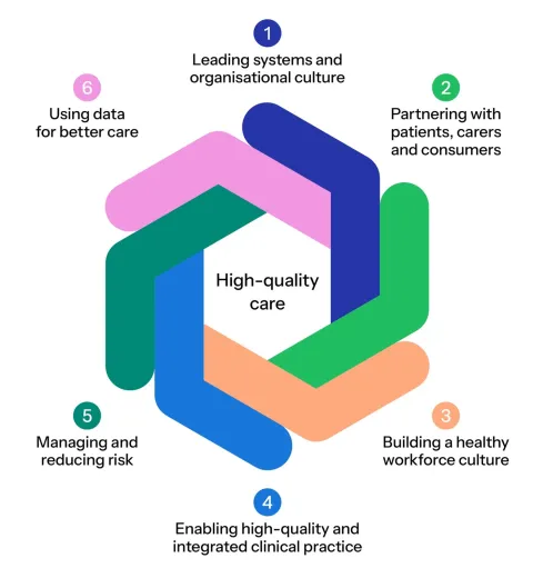 Figure 3: Diagram of the six foundations of clinical governance and high-quality care. 1: Leading systems and organisational culture. 2: Partnering with patients, carers and consumers. 3: Building a healthy workforce culture. 4: Enabling high-quality and integrated clinical practice. 5: Managing and reducing risk. 6: Using data for better care.