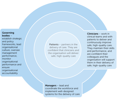 Figure 4: Clinical governance roles