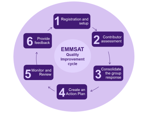 EMMSAT Improvement Cycle