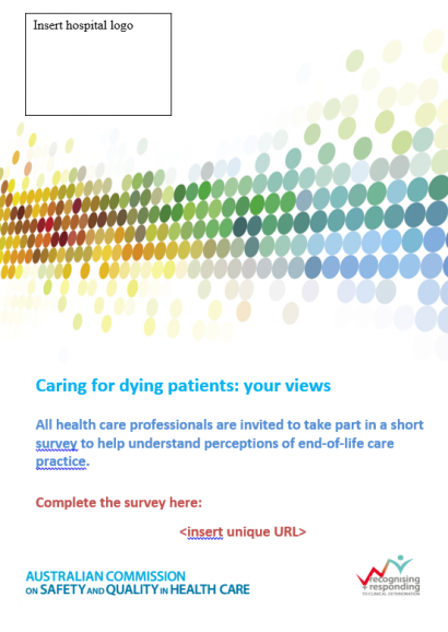end-of-life-care-audit-flyer-modifiable-word-doc