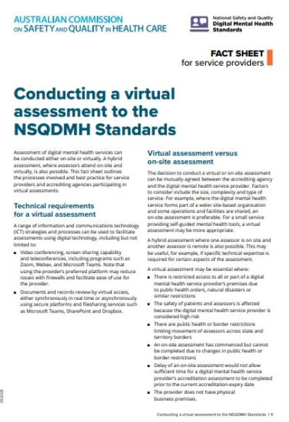 Conducting a virtual assessment to the NSQDMH Standards
