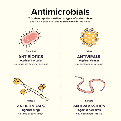 What are antimicrobials graphic