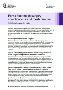 Cover of 'Pelvic floor mesh surgery complications and mesh removal - Multidisciplinary service model' document